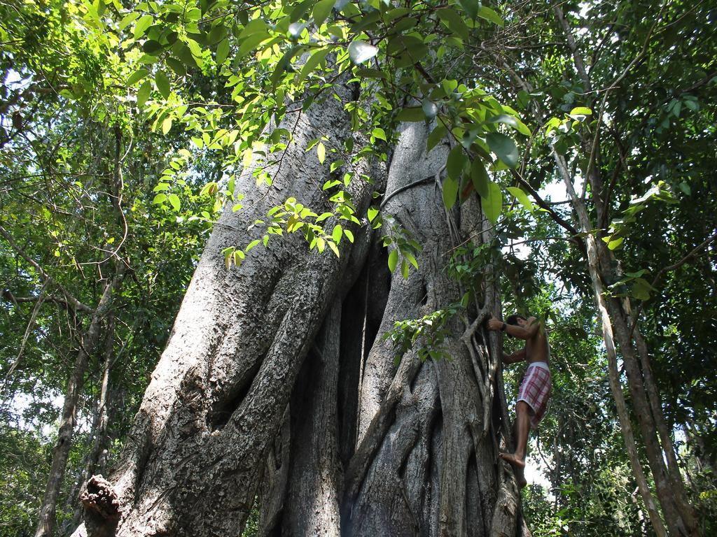 Pousada La Bonita Baia Formosa  Luaran gambar
