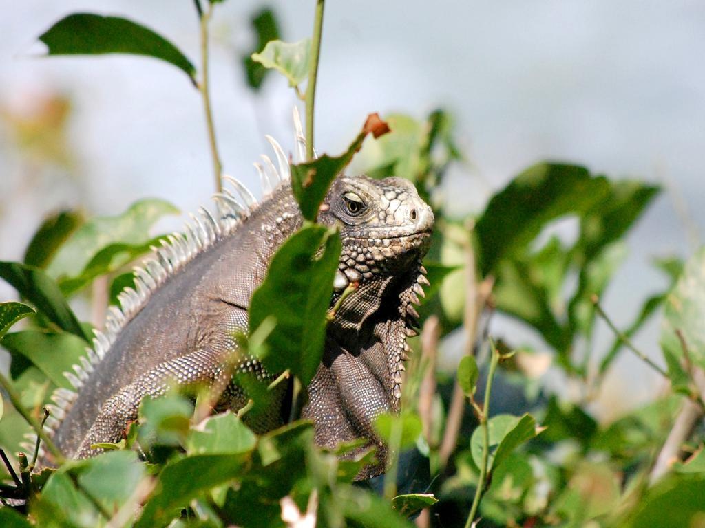 Pousada La Bonita Baia Formosa  Luaran gambar