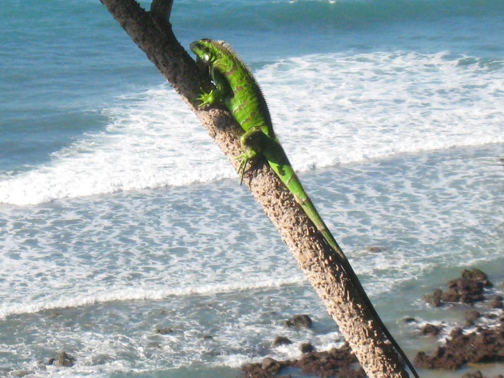Pousada La Bonita Baia Formosa  Luaran gambar
