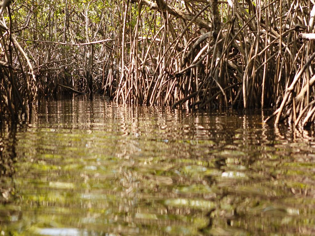 Pousada La Bonita Baia Formosa  Luaran gambar
