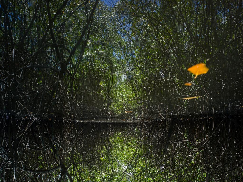 Pousada La Bonita Baia Formosa  Luaran gambar